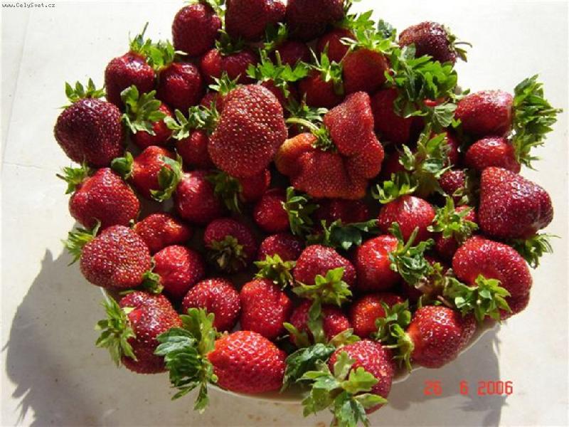 Foto: Jah�dky-Vemte si m�m dost.......