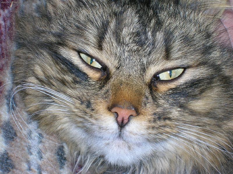 Foto: Pod�vej se mi do o��