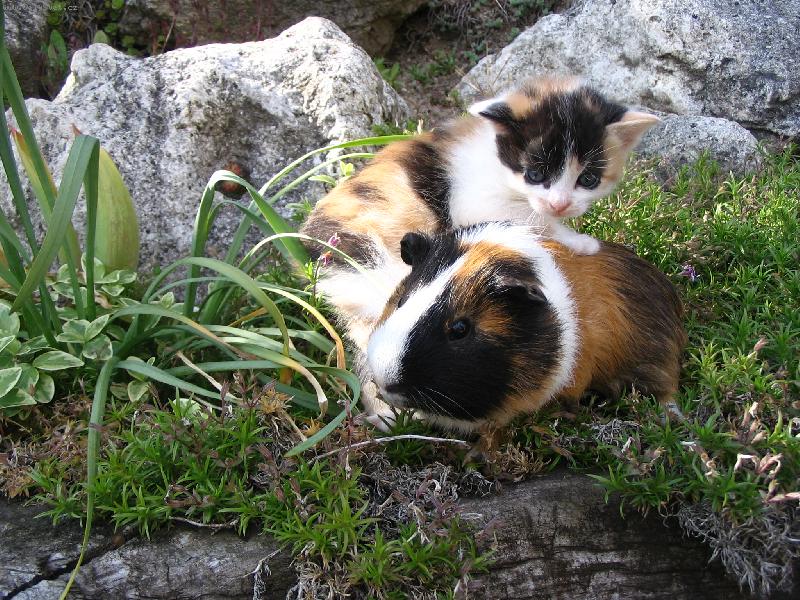 Foto: Barevn� lad�me.