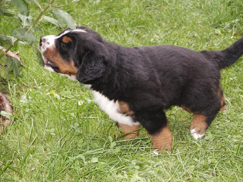 Foto: N� mal� Bert��ek