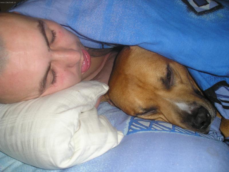 Foto: Nen� nad dobr� sp�nek