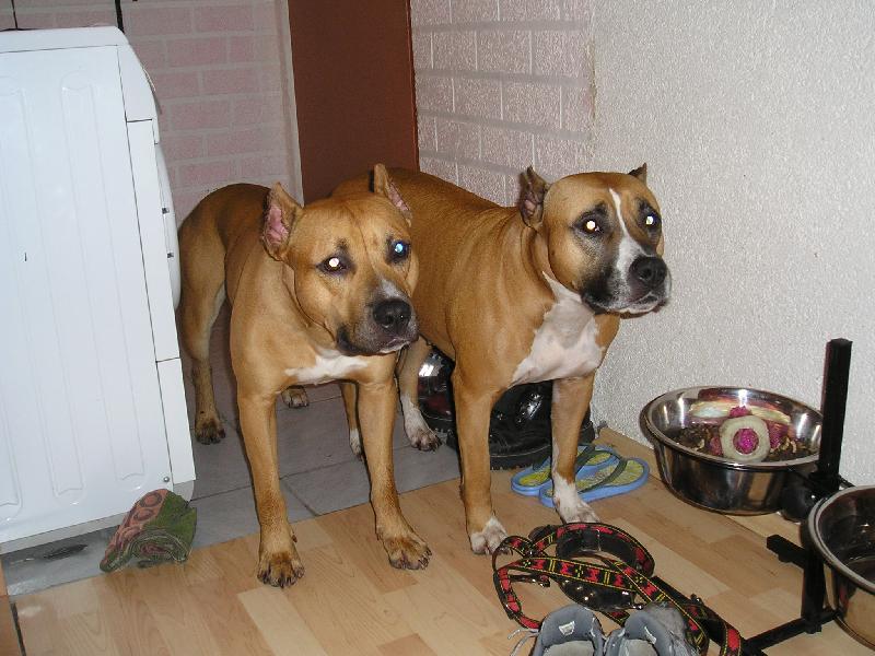 Foto: U� m��em d�l ?