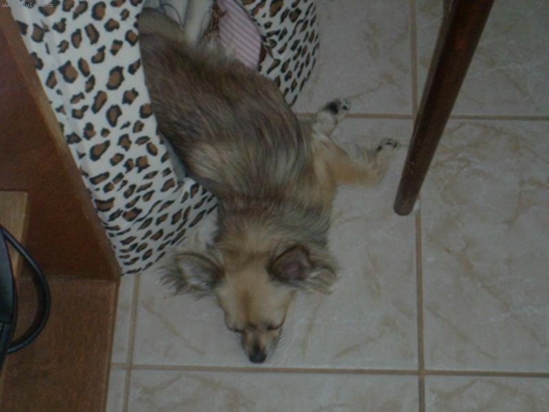 Foto: Na�e mal� �ivava