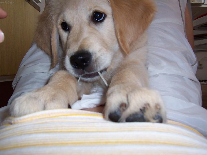 Foto: ���rky jsou stejn� nejlep�� :-D