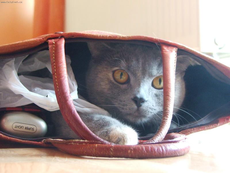 Foto: Odpoledn� siesta