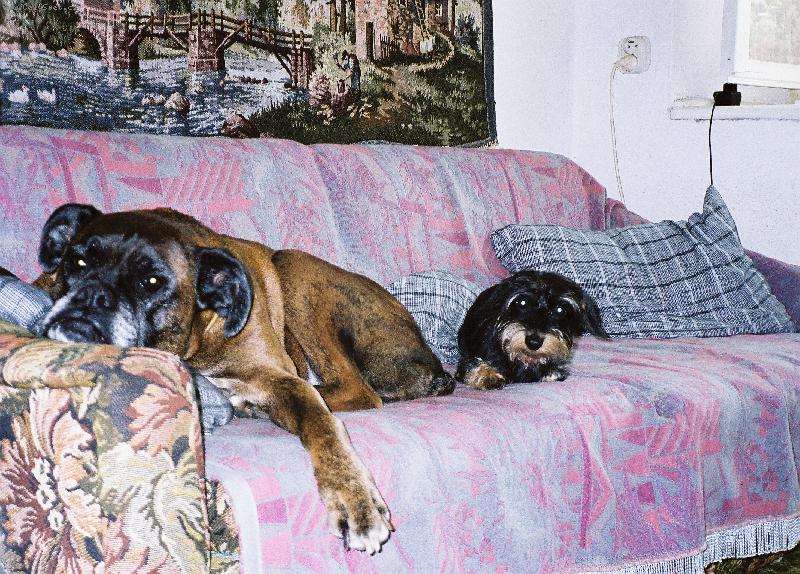 Foto: bohunka a eli�ka-odpo�inek