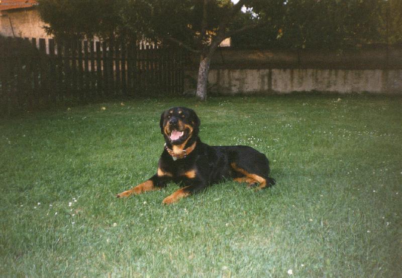 Foto: �da n�m p�zuje ...