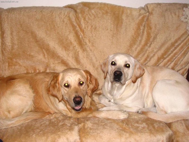 Foto: B�ra-Barunka s p��telem :o)