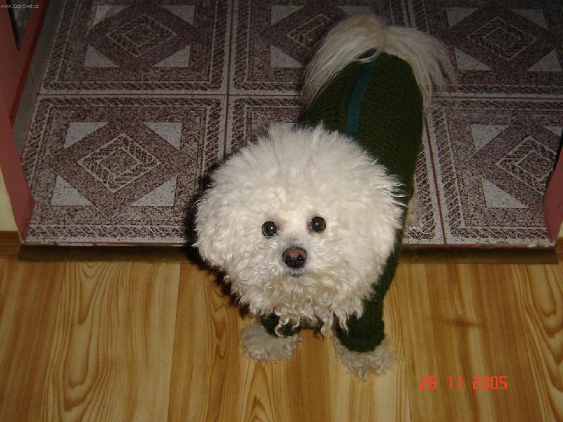 Foto: Arkinka-Jak se V�m l�b�m ?