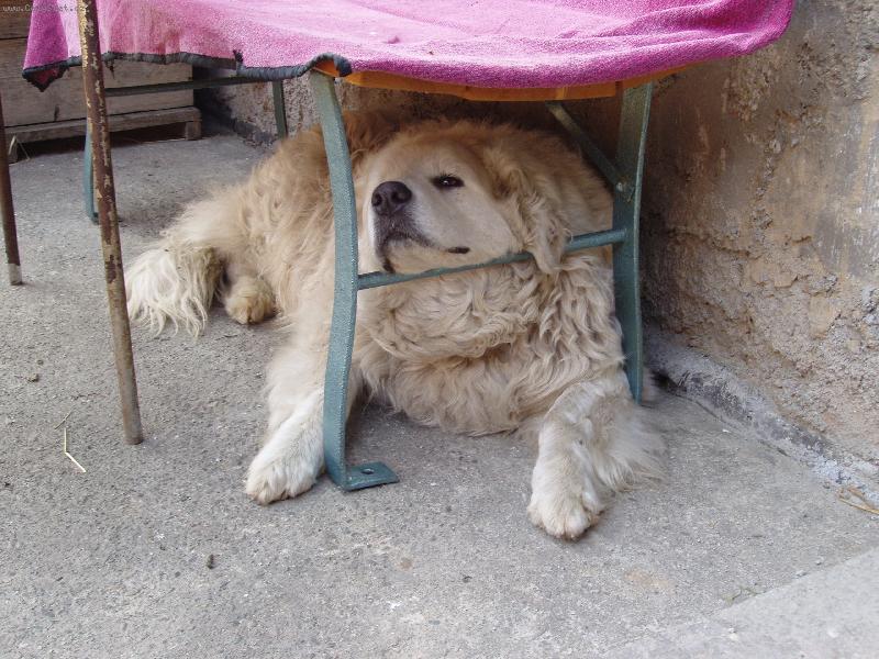 Foto: Max�k-J� se s tebou nebav�m!!!