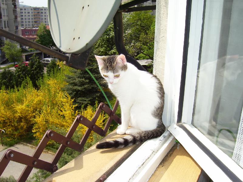 Foto: Betynka-sly��te m�?