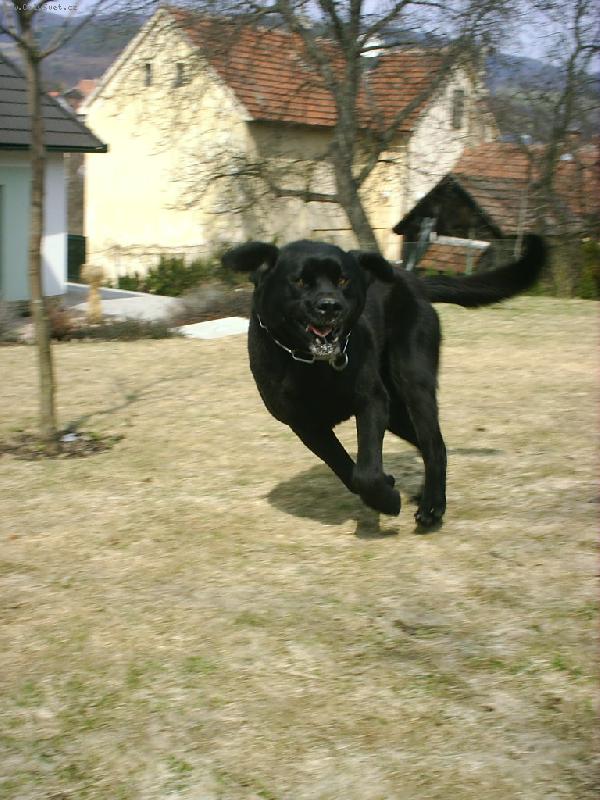 Foto: V rychlosti