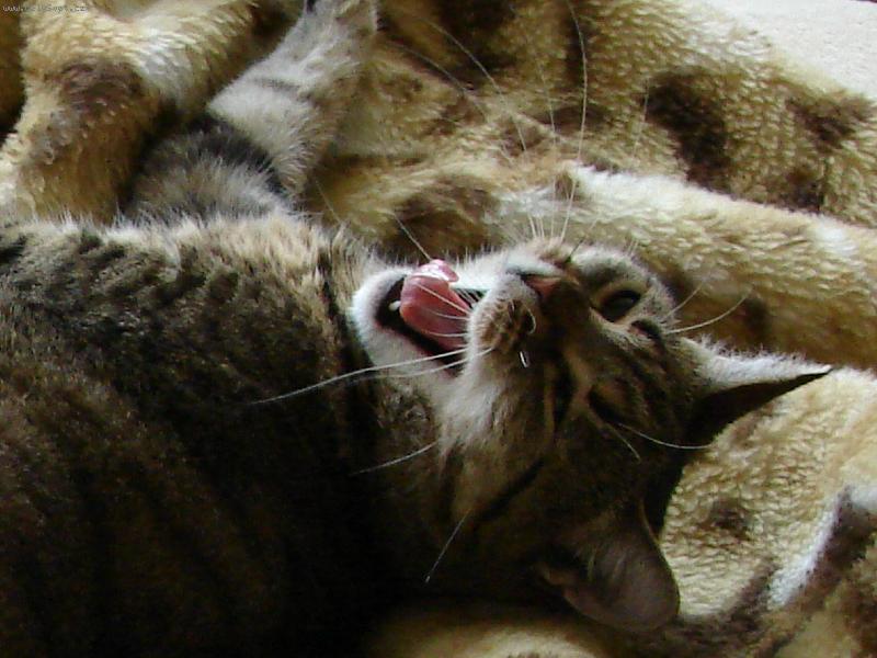 Foto: To vst�v�n�...