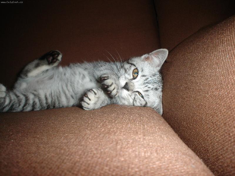 Foto: Poj� si hr�t!