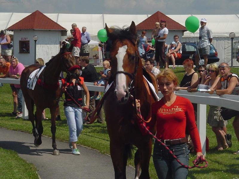 Foto: Lesken Ai-dostihy most