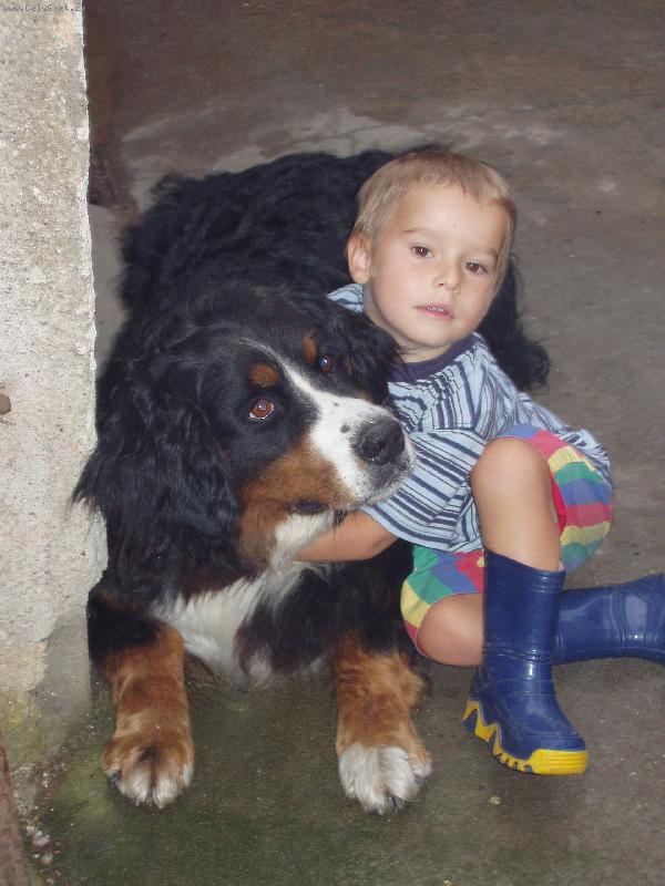 Foto: Ronynka a Ji���ek