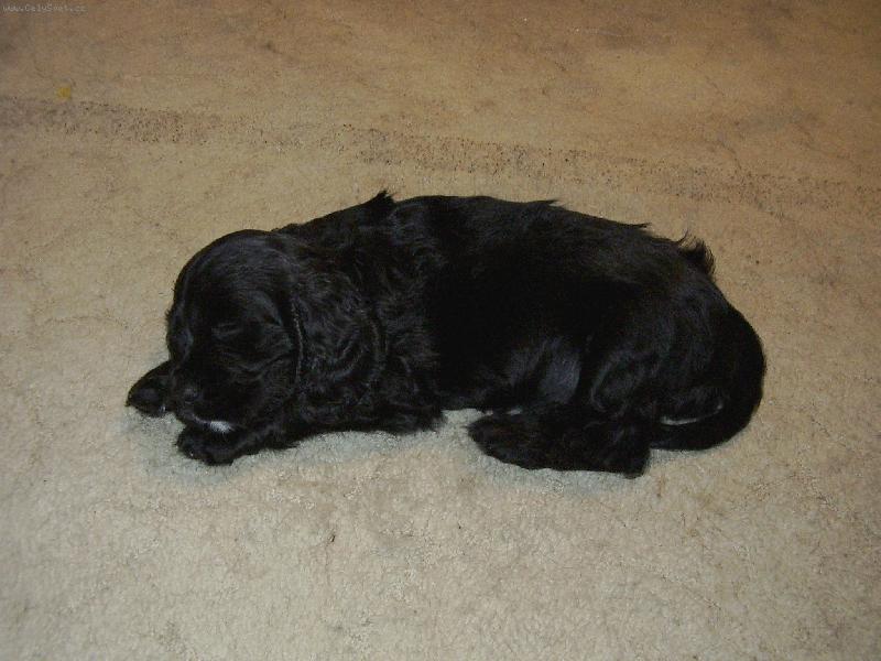 Foto: Ticho, Joe sp�!