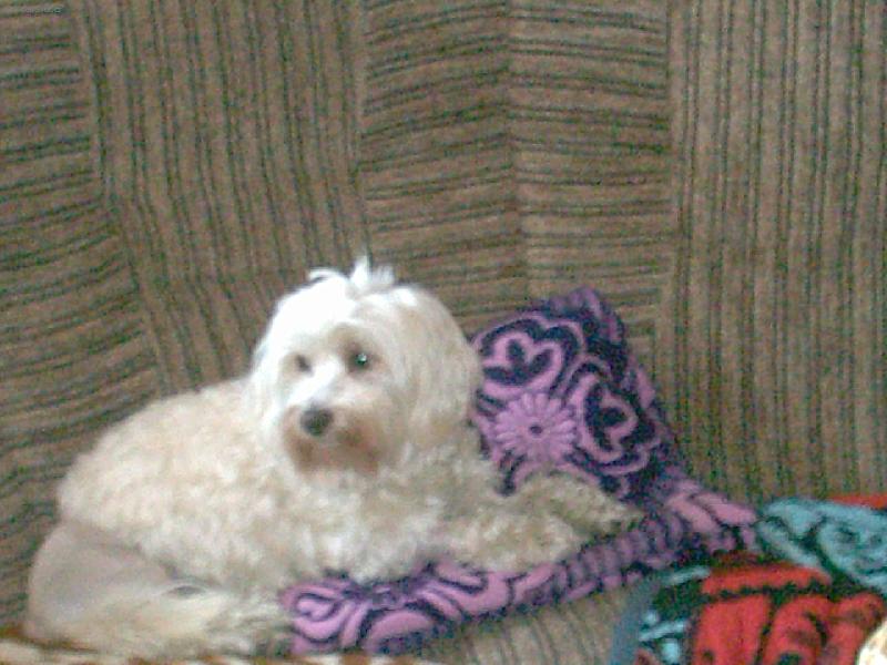 Foto: Art�k-m�m p�ehled