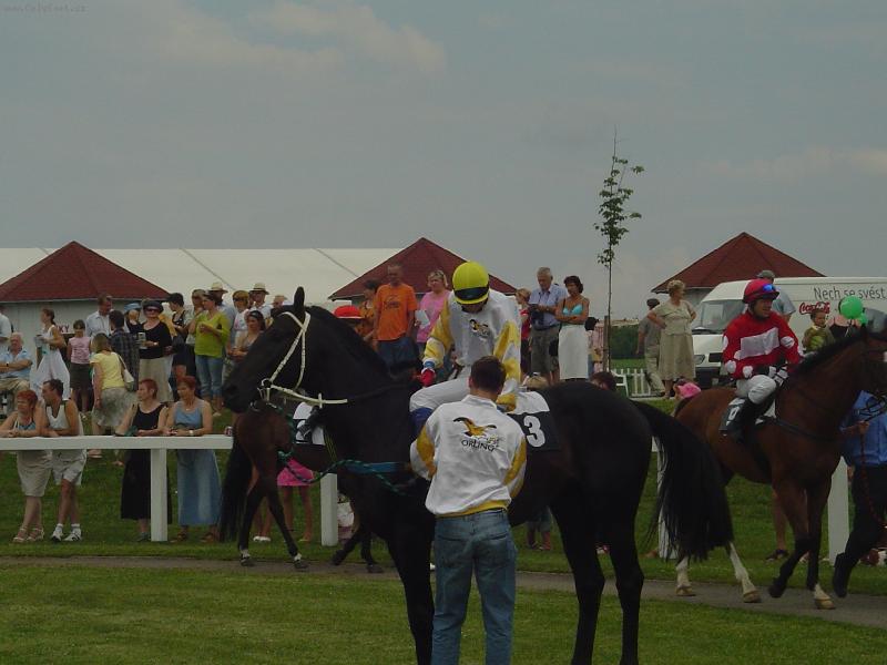 Foto: Lamon-dostihy most