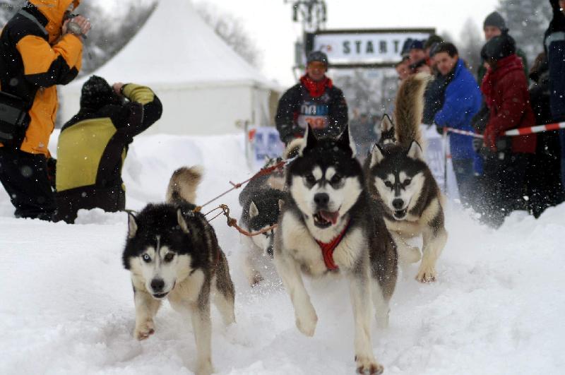 Foto: �eskou Kanadou 200
