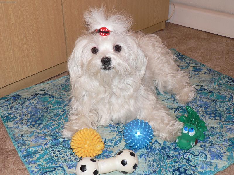 Foto: Peggy-Moje hra�ky