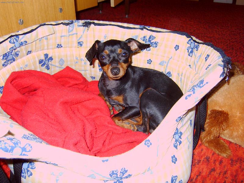 Foto: Ka�ka modelka