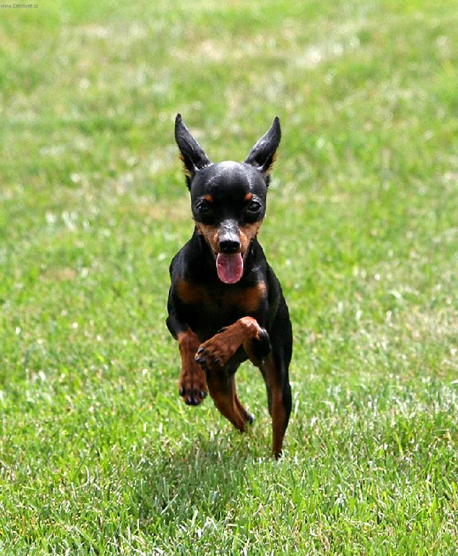 Foto: U� b��m !!!