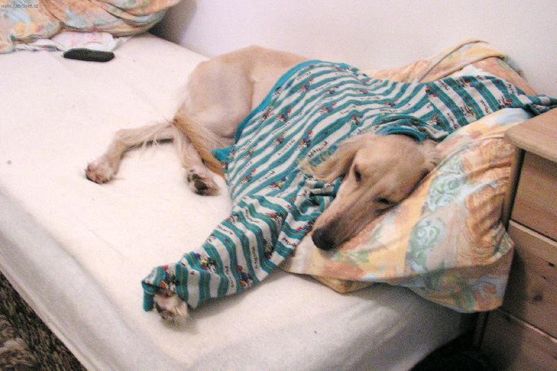 Foto: Anneliee-siesta