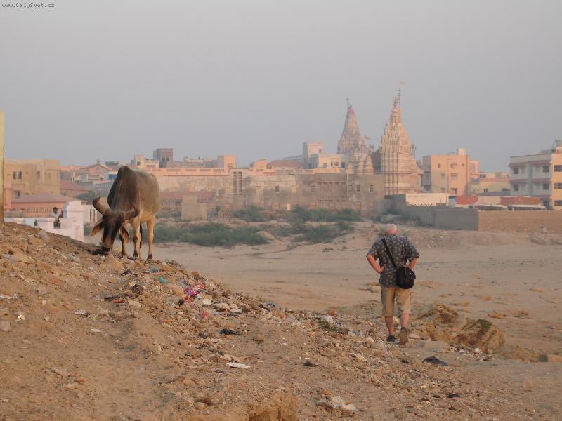 Foto: kazdy svou cestou