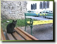 �ern� pasa�er ...