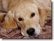 "Tak u� to pros�m zm��kni"