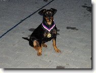 No �ekn�te nejsem n�dhern�.......