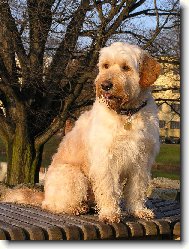 Nejzlat�j�� zla���ek-Mat�j��ek