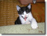 J� �e �ilh�m????????