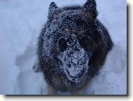 U� by mohlo p�estat sn�it.