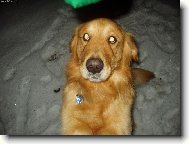 Tak u� mi to dej.....pros���m