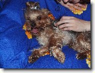 Jeje...����,l�o pl�o