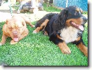 Max�k a Samira