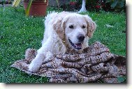 M�j mazl��ek s jeho obl�ben�m hadrem :o)