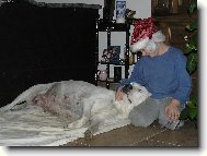 Vesel� v�noce06