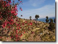 na jeze�e Titicaca