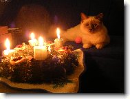 u� aby tady byly v�noce :-)
