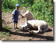 Mat�j a h��b�tko