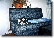 M�me troj�ata