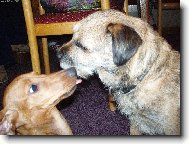 Monty a Eli�ka