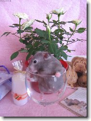 V�e nejlep��