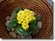Jarn� pot�en�