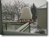 Vzpom�nka na zimu