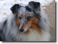 �eltie2