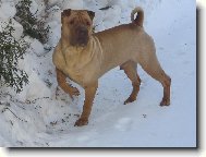 To kouk�te...co